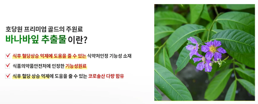 바나나잎-추출물