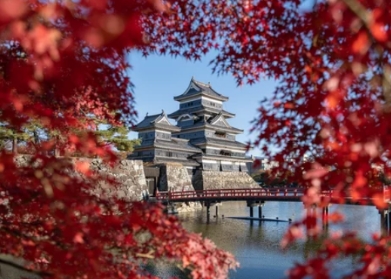 서울-단풍-명소