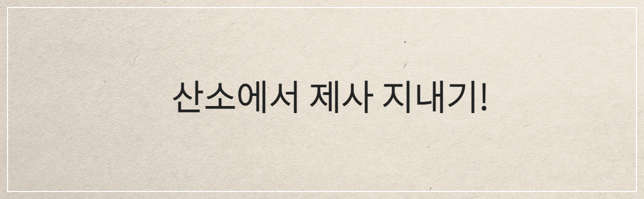 산소에서 제사 지내는 법 및 음식 준비