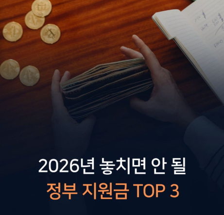 2026년 정부 지원금 총정리