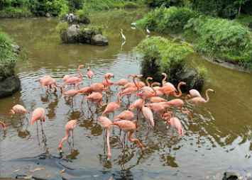 푸꾸옥-여행코스