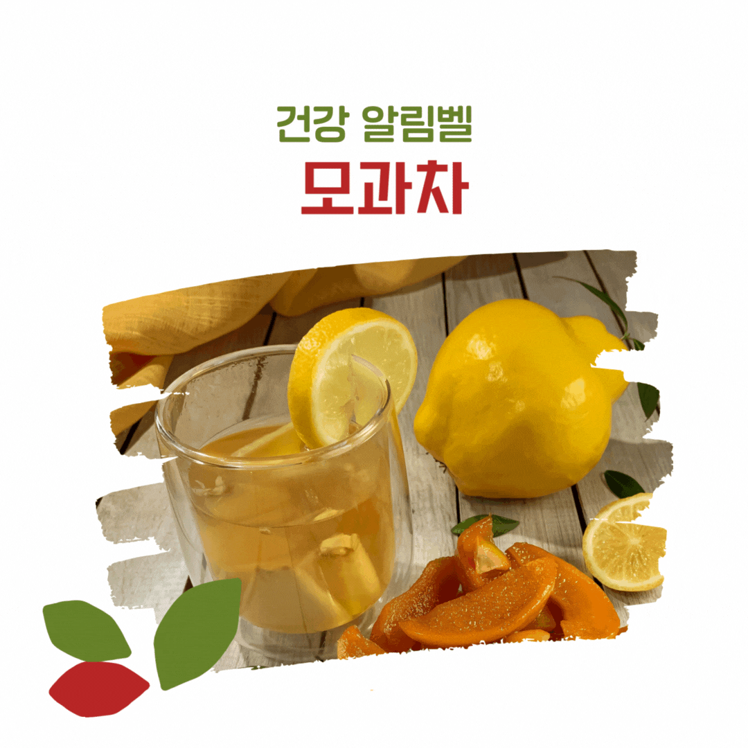 모과차의 효과 효능