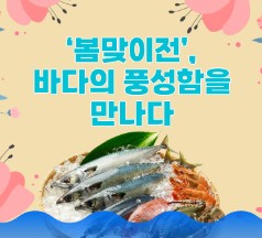대한민국 수산대전 쿠폰