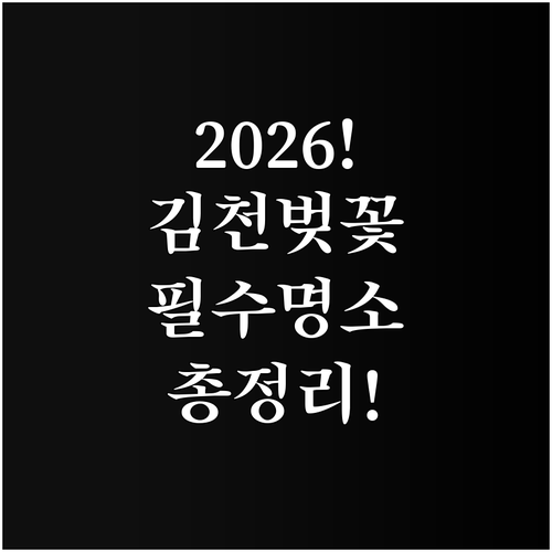 2026 김천 벚꽃 나들이 정보 및 ..
