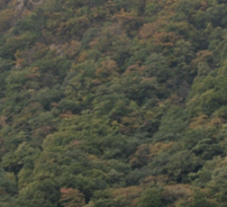 설악산 케이블카 요금