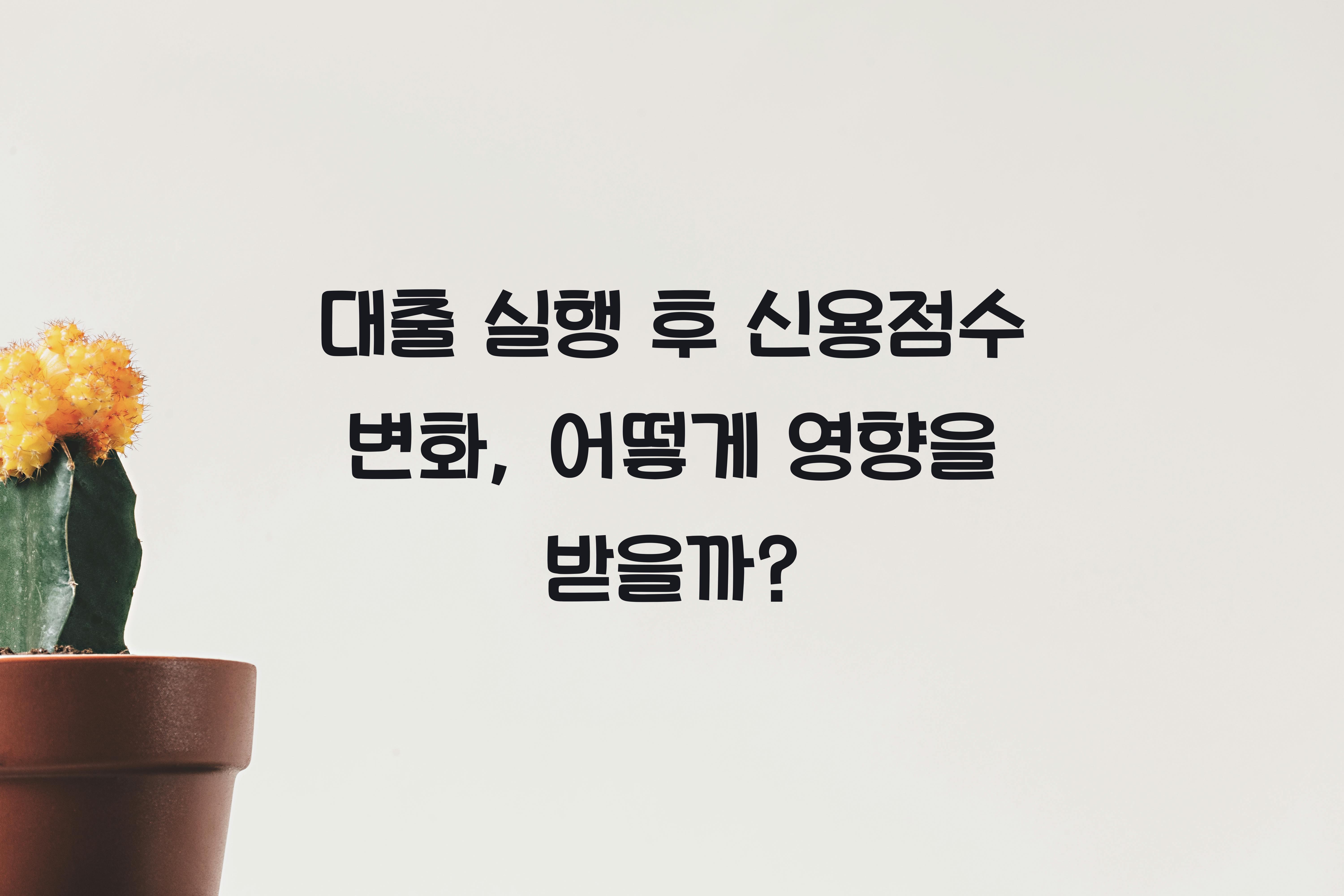 대출 실행 후 신용점수 변화