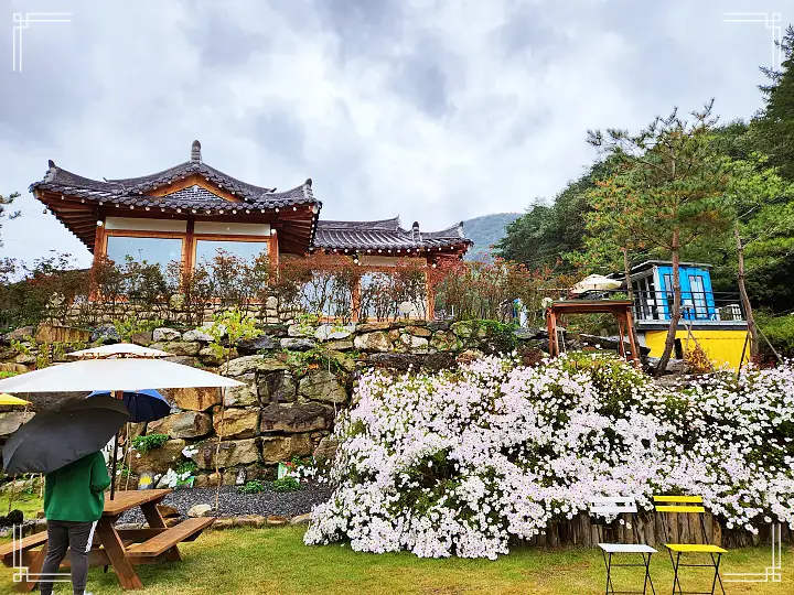 생생정보 커피 & 디저트 맛집