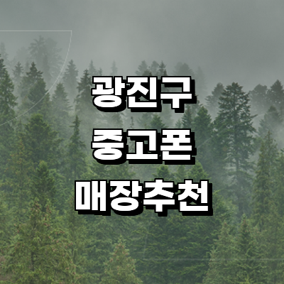 서울 광진구 중고폰