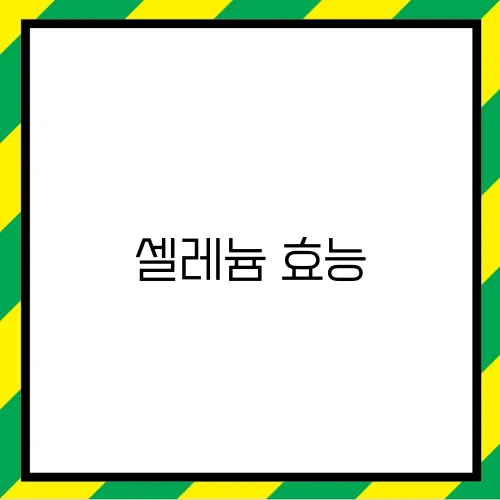 셀레늄 효능