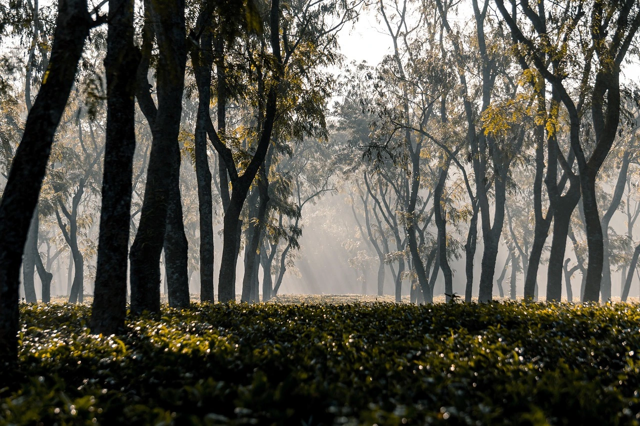 숙박세일페스타