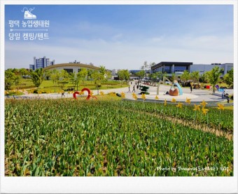 공익직불금 신청하기