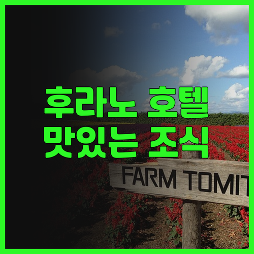 후라노 내츄럭스 호텔 후기, 후라노역