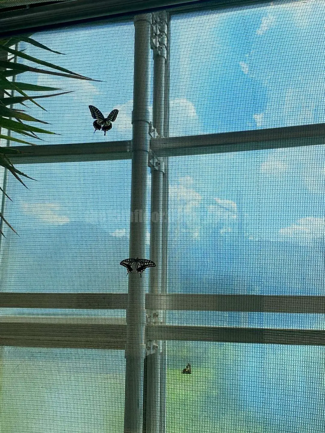 경남 의령 &amp;#39;의령 곤충생태학습관&amp;#39; (1층&amp;#44; &amp;#39;생태 유리온실&amp;#39;)