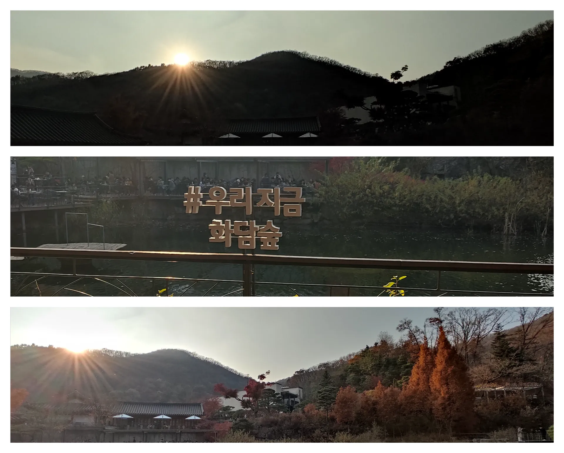 가을 화담숲