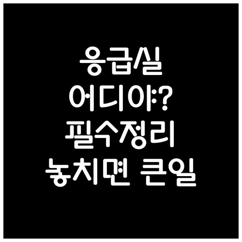 대구 달서구 24시간 동물응급실과 수..