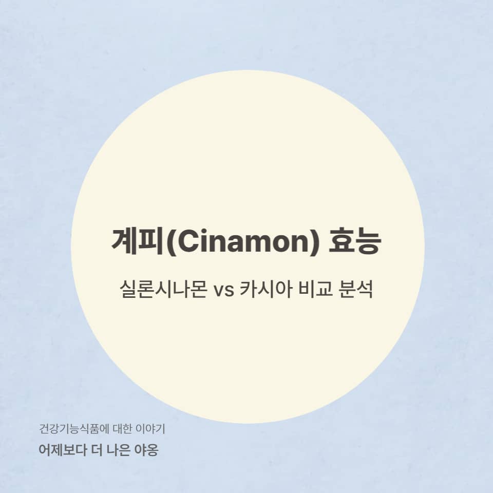 실론시나몬 vs 카시아 – 혈당 조절에 좋은 계피는 따로 있다?