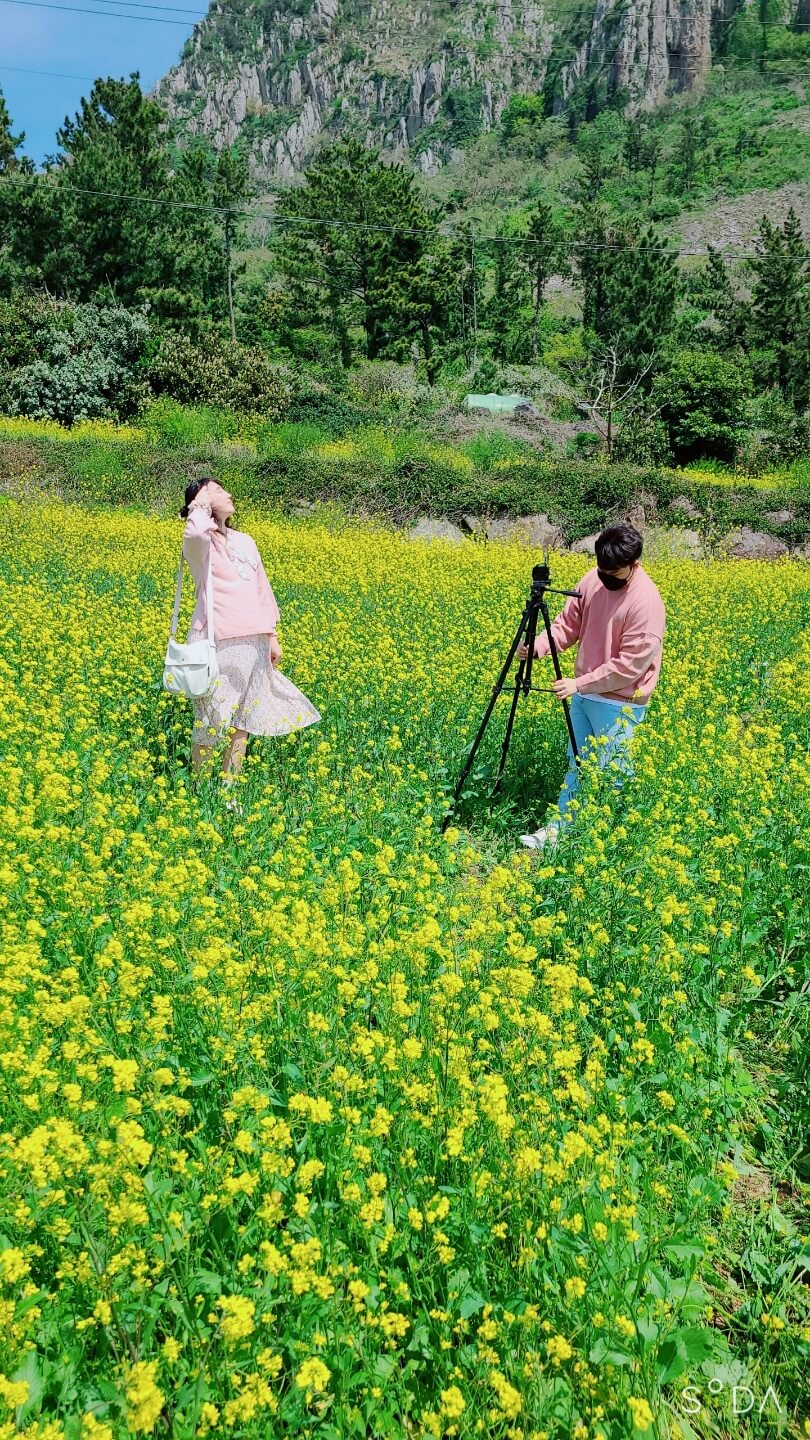 3월 봄꽃 축제 하는곳 봄꽃 여행지