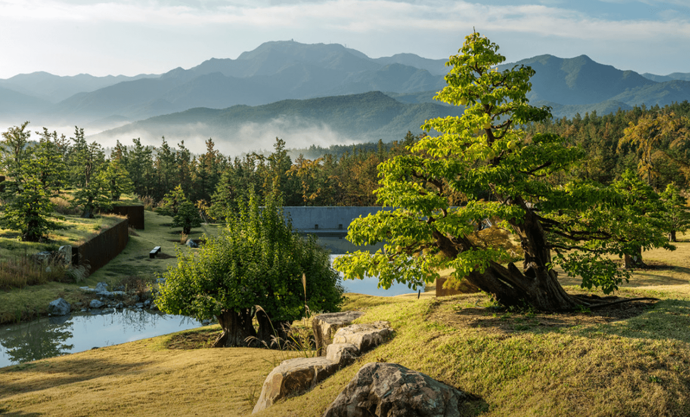 대구 수목원 사유원 입장료 매화축제 관람 예약 안내 