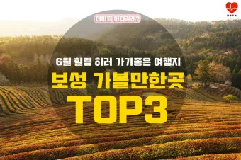 보성 가볼만한곳 베스트10 현지인 추천 필수코스_35