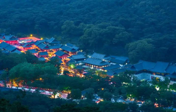 통도사 사찰 주변 나무들이 빼곡히 들어선 야경