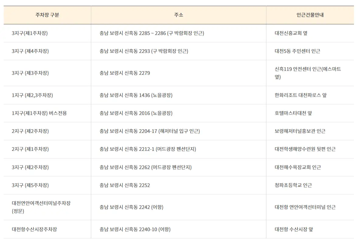🎫 2025 보령머드축제 입장권 할인 예매 완벽 가이드