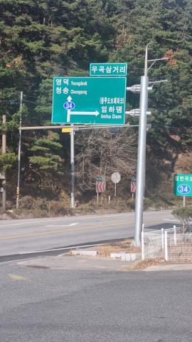 안동 뒤뜰카페 돈가스 맛집 임동 임하댐 근처 식당 추천