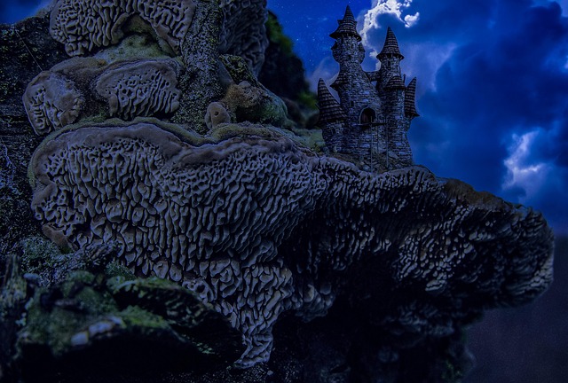 똥을 보물처럼 여기는 꿈