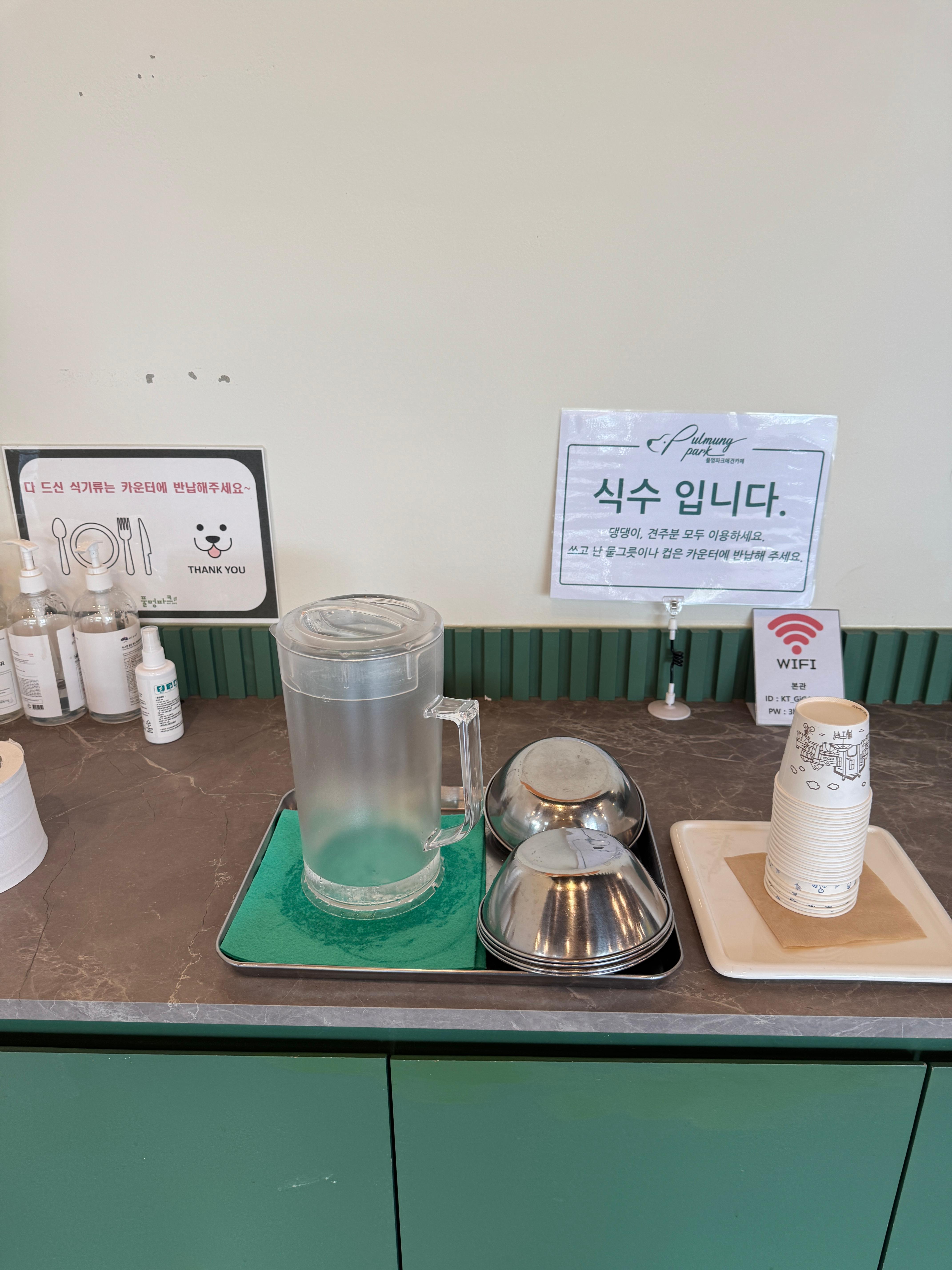풀멍파크 실내 강아지 물 준비되어 있는 모습 