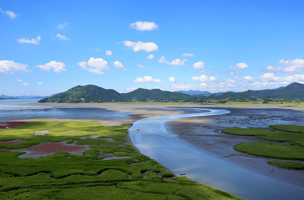 순천만 용산전망대