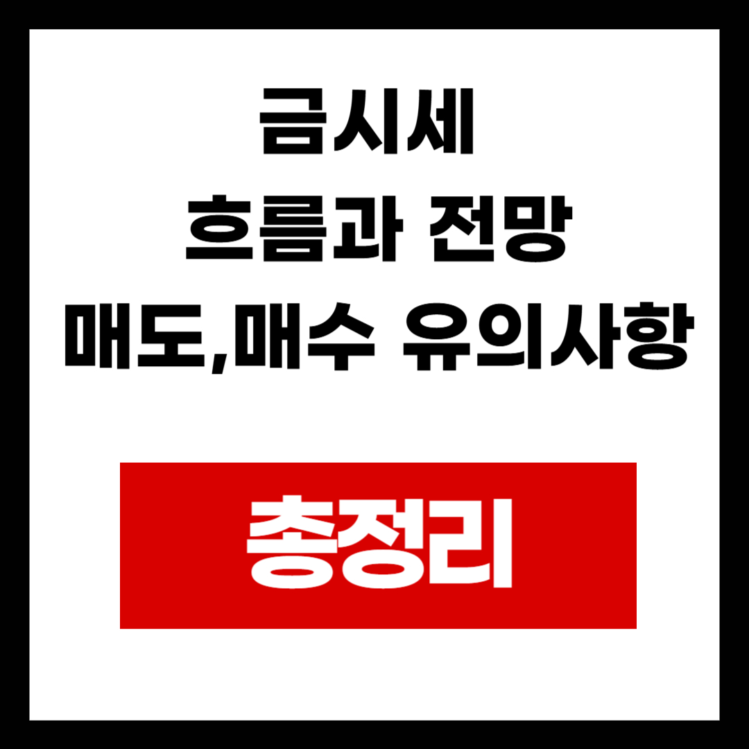 금시세 전망과 환율 연계 투자법 완벽 분석