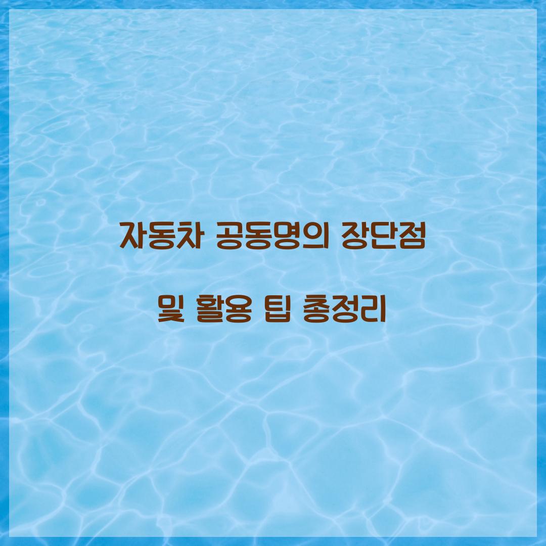 자동차 공동명의