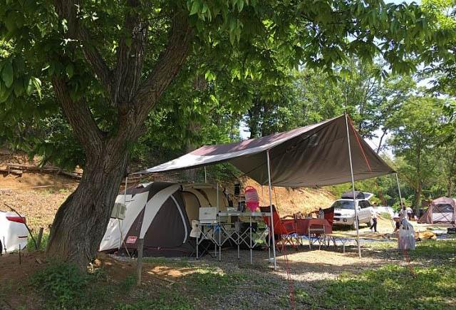파주 느티나무그늘아래 캠핑장 소개