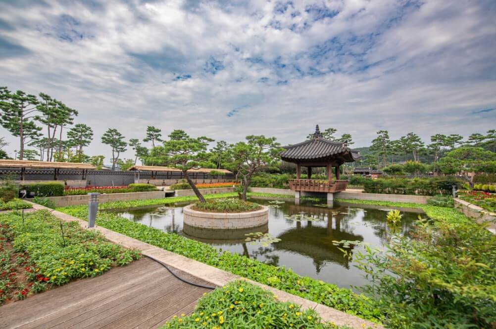회산백련지-무안연꽃축제