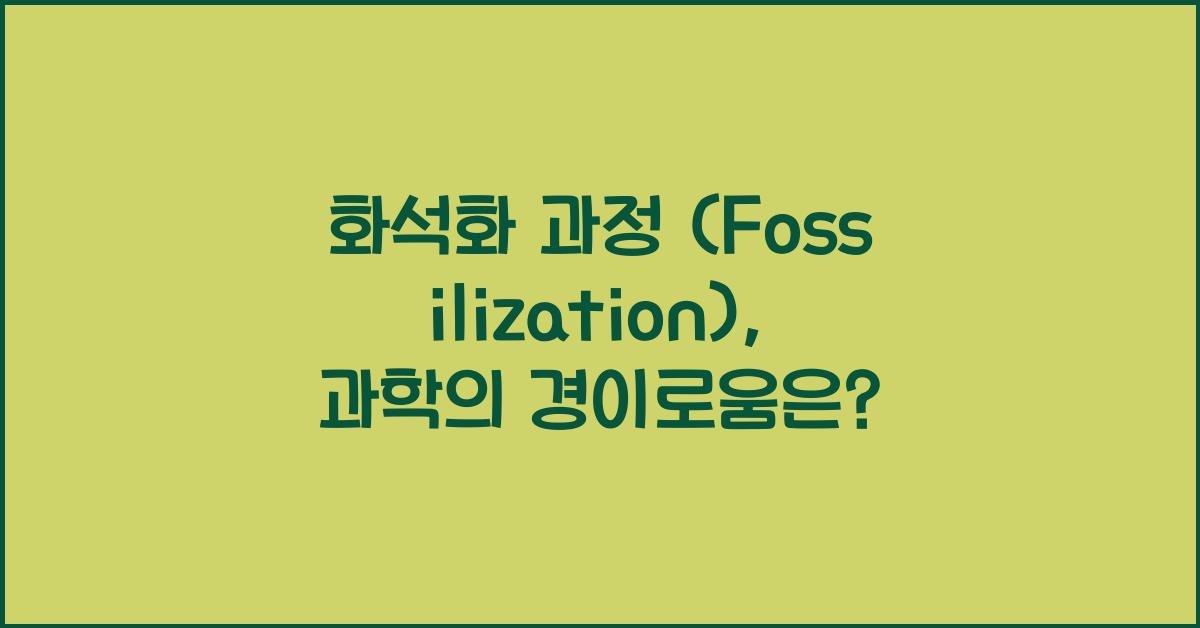 화석화 과정 (Fossilization)  
