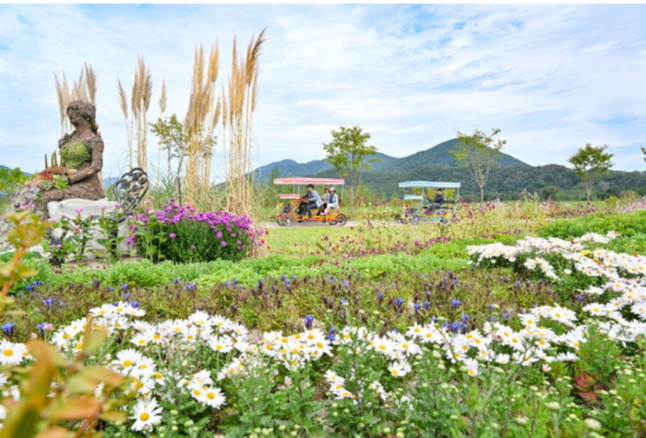 [5월 축제]포천 한탄강 가든페스타❘기간, 일정, 프로그램, 반려가족 여행지