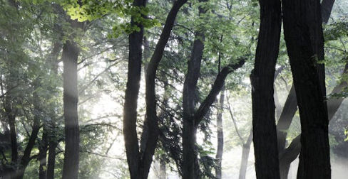 농지취득자격증명 – 아무나 농지를 살 수 없다