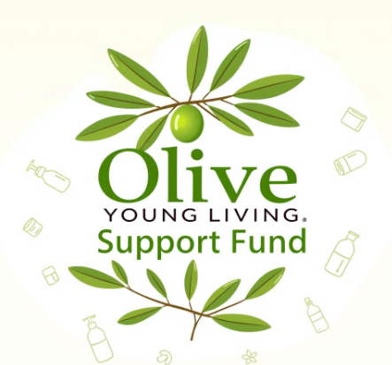 올리브영민생지원금그림