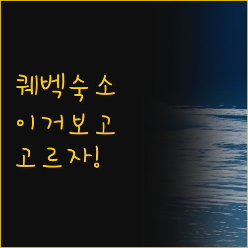 퀘벡 시티 최고의 숙소 비교 현대적 ..