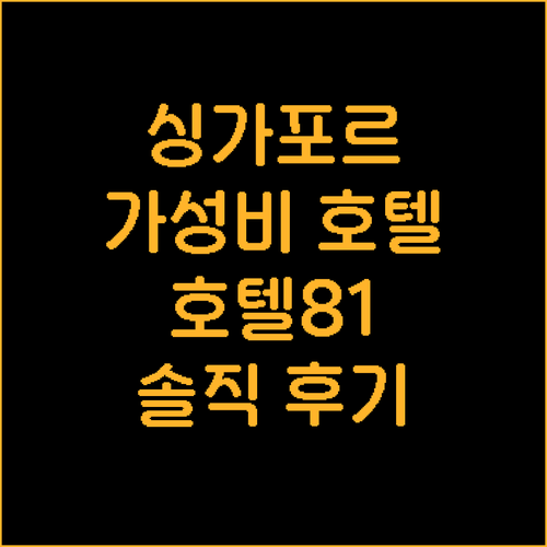싱가포르 가성비 호텔 추천 호텔 81..