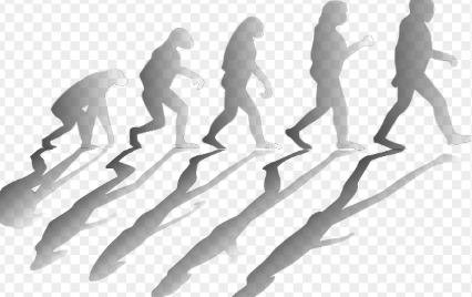 인류의 변화 역사 총정리! 원숭이에서 문명까지