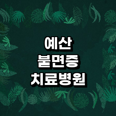 예산군 불면증