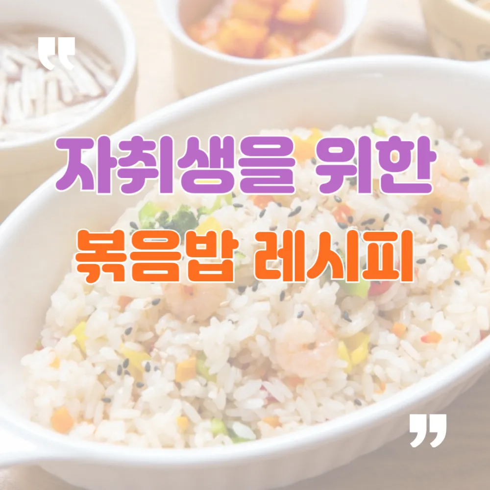 자취생을 위한 볶음밥 백서, 레시피와 바리에이션까지