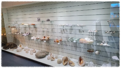 진도해양생태관