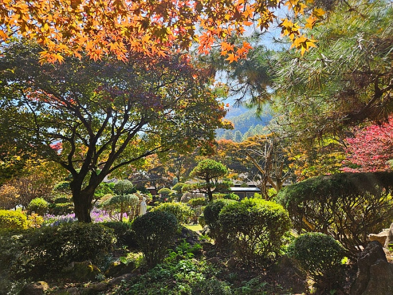 화담숲 유모차·휠체어 이용 가능할까? 편의시설 체크