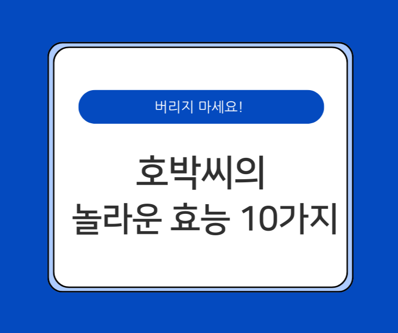 버리지 마세요! 호박씨의 
놀라운 효능 10가지
