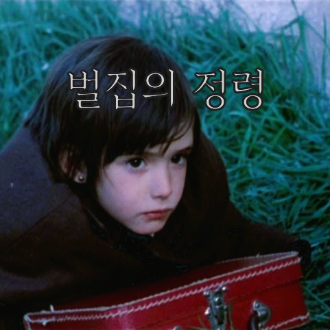 벌집의 정령