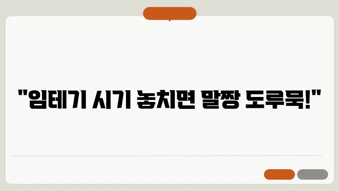 임테기 시기 언제? 기간? 정확히 알아보자.