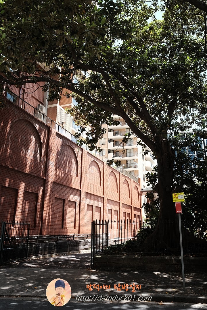 2024년 12월 19일 시드니