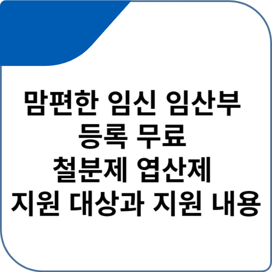 맘편한 임신 임산부 등록 무료 철분제 엽산제 지원 대상과 지원 내용
