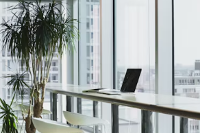 2025년 국민연금 인상률 국민연금 수령액 인상률